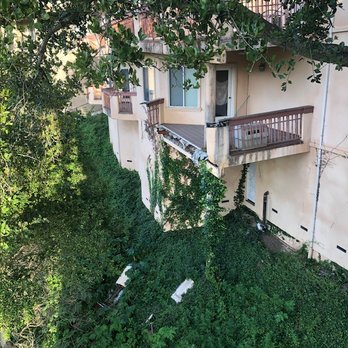 Common Interest Management Services - Property Management Near Me - San Ramon, California Common Interest Management Services - Property Management Near Me - San Ramon, California