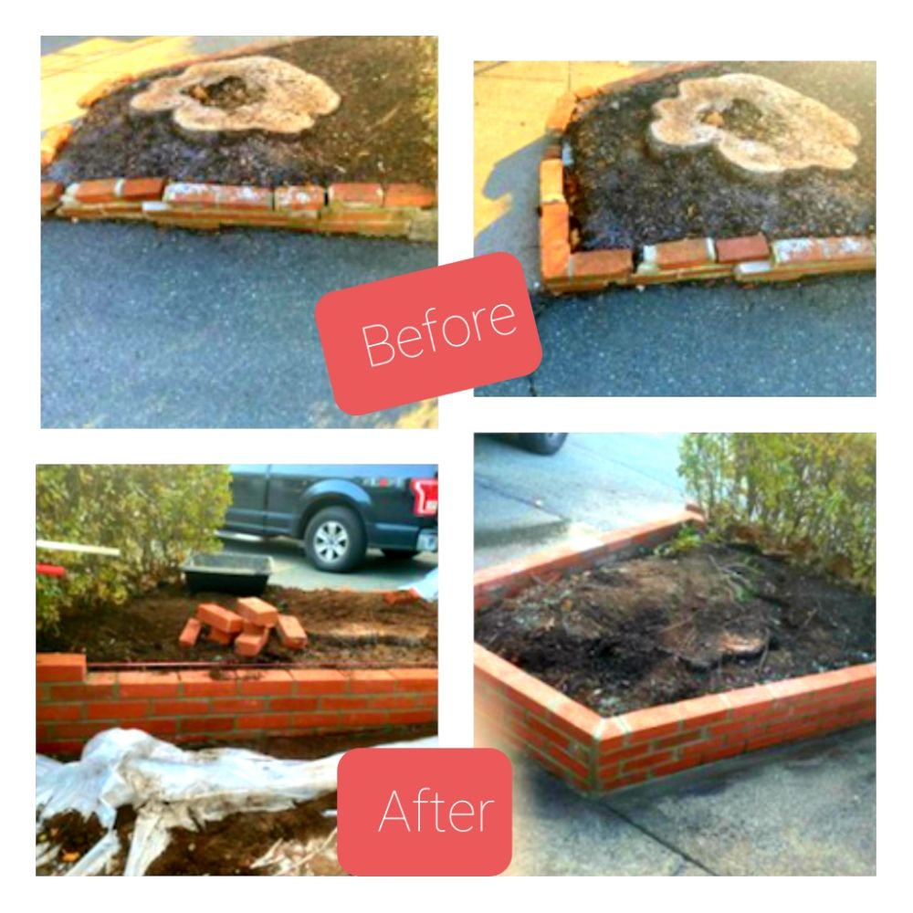 SCOTT MASONRY Updated August 2024 Salem, New Hampshire Masonry