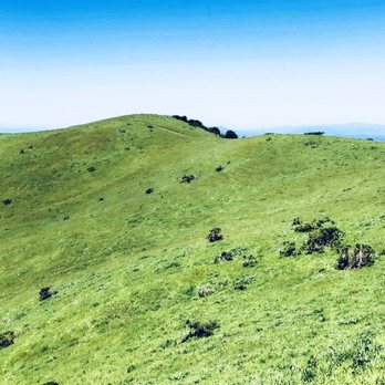 Wildcat Canyon Regional Park - Parks Near Me - Richmond, California Wildcat Canyon Regional Park - Parks Near Me - Richmond, California