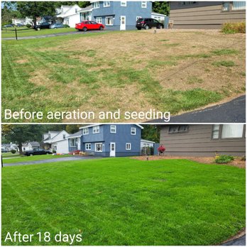 Premier Lawn Services - before and after - Lawn Services Near Me Premier Lawn Services - before and after - Lawn Services Near Me