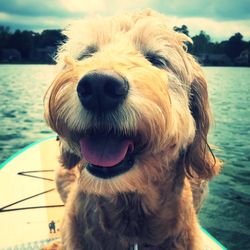 Lake christopher - Yankee Doodle paddle boarding