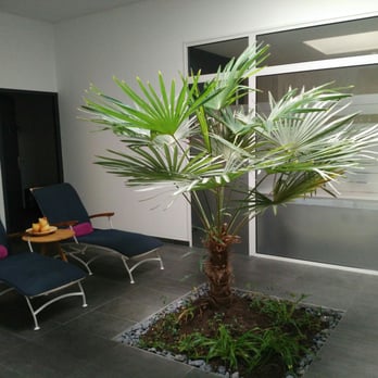 Spa Mozaik - Day Spas Near Me - Bordeaux, 33