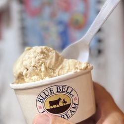 The Candy Bar - Blue Bell Ice Cream