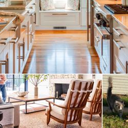 Howzer Property Management - The floors were kept so nice (I didn't want to polish the floors I'll tell you that!). Oh there's the cat!