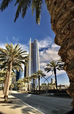 Pacific Gate By Bosa by null