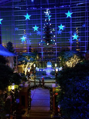 Belvedere Lobby Bar by null