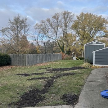 CG Services Group - a backyard with a fire hydrant - Lawn Services Near Me CG Services Group - a backyard with a fire hydrant - Lawn Services Near Me
