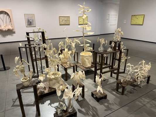 Art Gallery of Alberta by null