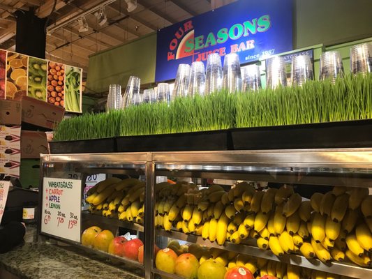 Four Seasons Juice Bar by null