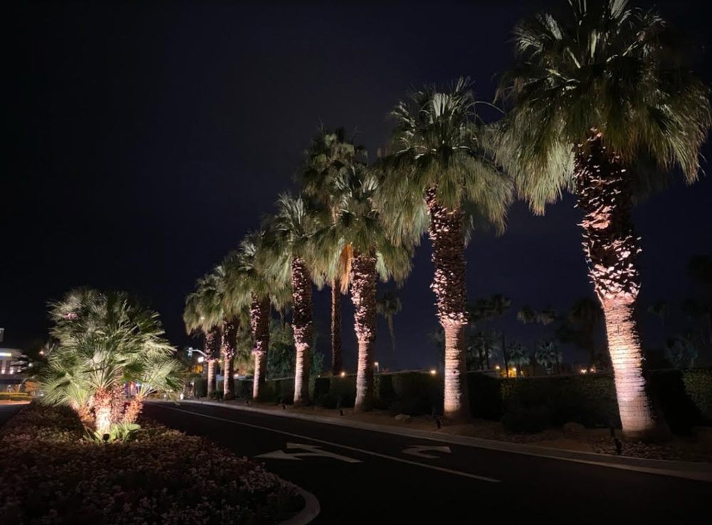 Slide of Horizon Lighting