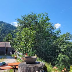Berggasthaus Petersberg