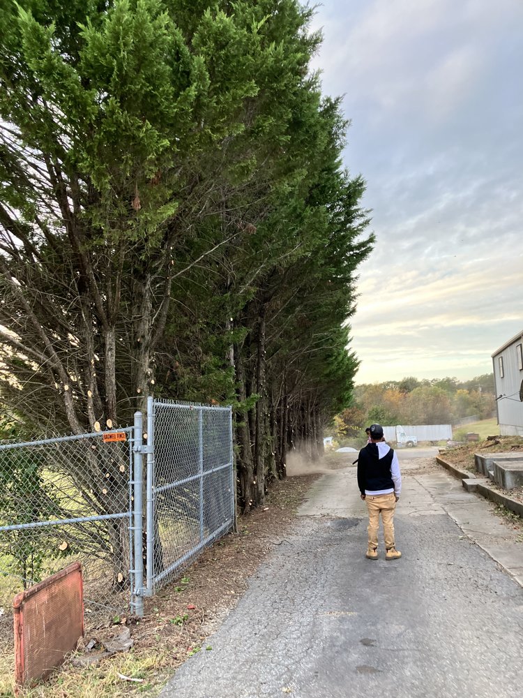 Slide of That guy landscaping