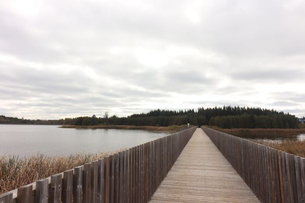 Island Lake Conservation Area by null