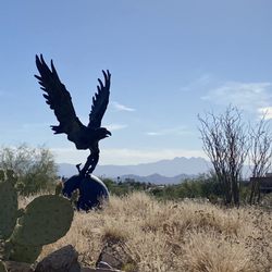 Fountain Hills High School - The gorgeous view of the Four Peaks along with our Falcon Nest statue.