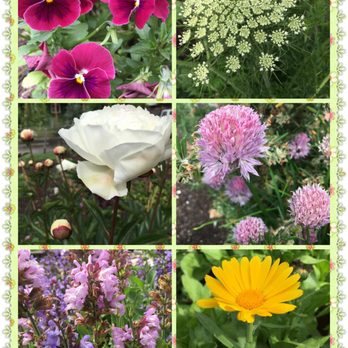 Oxbow Park - P-Patch Community Garden at Oxbow Park - Landmarks & Historical Buildings Near Me - Seattle, Washington