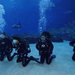 Divers Down Underwater Adventures