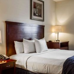 Clarion Hotel Downtown Oakland City Center - Guest room