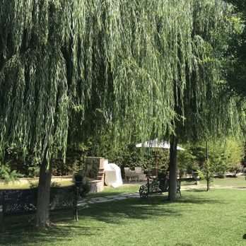 Tenuta Torciano - Wineries Near Me - San Gimignano, SI