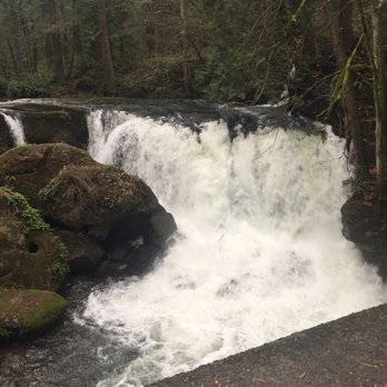 Whatcom Falls Park - Beautiful waterfall! - Dog Parks Near Me - Bellingham, Washington