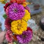 Photo of Spring Bluff Nursery