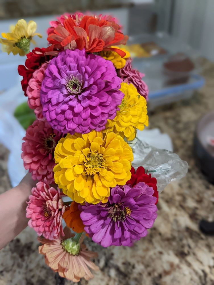 Spring Bluff Nursery - beekeeping in Sugar Grove, IL