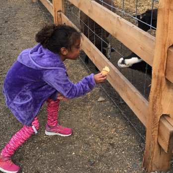 Unangst Tree Farm - Attraction Farms Near Me - Bath, Pennsylvania Unangst Tree Farm - Attraction Farms Near Me - Bath, Pennsylvania