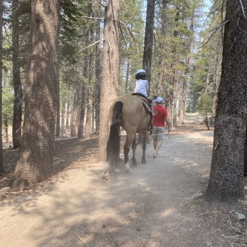 Mammoth Lakes Pack Outfit - Tours Near Me - Mammoth Lakes, California Mammoth Lakes Pack Outfit - Tours Near Me - Mammoth Lakes, California