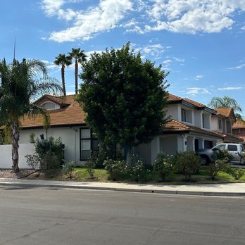 Ruben's Tree Service - Before - Tree Services Near Me