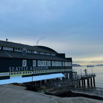 Seattle Aquarium - Aquariums Near Me - Seattle, Washington Seattle Aquarium - Aquariums Near Me - Seattle, Washington
