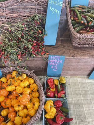 Athens Farmers Market by null