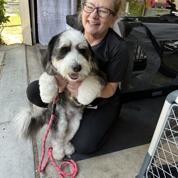Toy House Dogs - Sundae and Marci - Pet Groomers Near Me - Walnut Creek, California