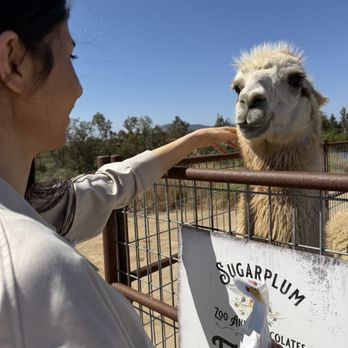 Sugarplum Zoo - Chocolatiers & Shops Near Me - Temecula, California