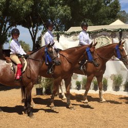 Legacy Farm - Go Team!! Blue ribbons for all!