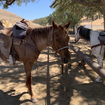 Central Coast Trailrides - Horseback Riding Near Me