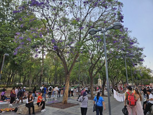 Alameda Central by null
