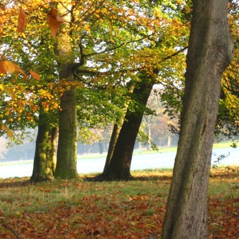 Sefton Park - Sefton Park, squirrel, Nov '06 - Parks Near Me Sefton Park - Sefton Park, squirrel, Nov '06 - Parks Near Me