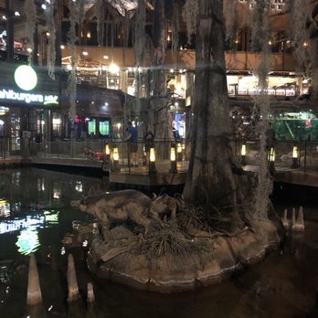 Bass Pro Shop - Cute little pigs - Guns & Ammo Near Me - Memphis, Tennessee Bass Pro Shop - Cute little pigs - Guns & Ammo Near Me - Memphis, Tennessee