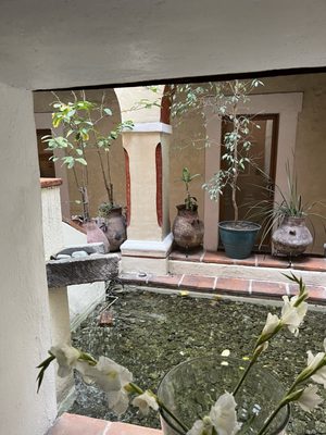Hotel El Sueño by null