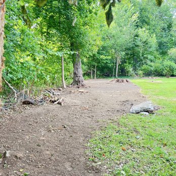 Sharon Hine Landscapes LLC & SHine Farm Stand - Cleared out invasive brush, vines - Landscaping Near Me - West Haven, Connecticut Sharon Hine Landscapes LLC & SHine Farm Stand - Cleared out invasive brush, vines - Landscaping Near Me - West Haven, Connecticut