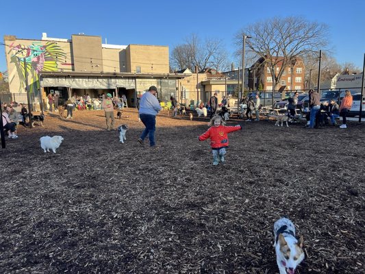 Barkside Detroit by null