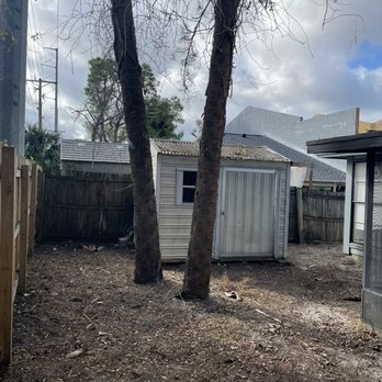 ArborGuard Tree Experts - Before sod was put down - Tree Services Near Me - Tampa, Florida ArborGuard Tree Experts - Before sod was put down - Tree Services Near Me - Tampa, Florida