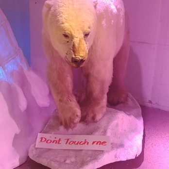 Frammuseet - Museums Near Me - Oslo, 03