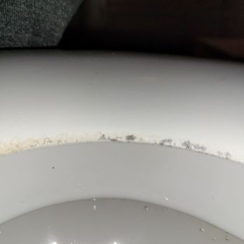 Evergreen Services - These scratches on the toilet seat are in addition to what he did to the bottom of the toilet bowl. - Plumbing Near Me - Warwick, Rhode Island Evergreen Services - These scratches on the toilet seat are in addition to what he did to the bottom of the toilet bowl. - Plumbing Near Me - Warwick, Rhode Island