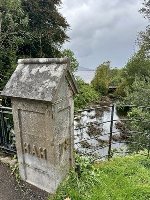 Killarney National Park by null