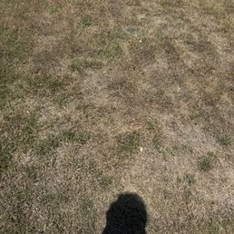 Dead Grass . This is partially. Our whole front yard is dead