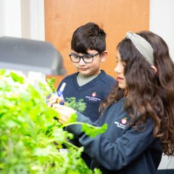 Apple Montessori Schools & Camps - Wayne