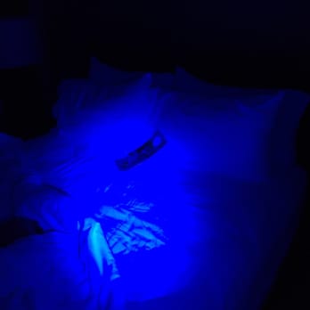 Holiday Inn The Lodge at Big Bear Lake - Black light passed. - Big Bear, CA