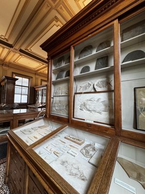 Teylers Museum by null