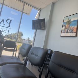 Palm Tree - Waiting room