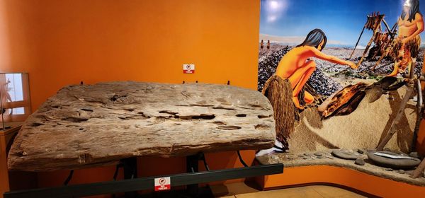 Museo Histórico Regional de Ensenada by null